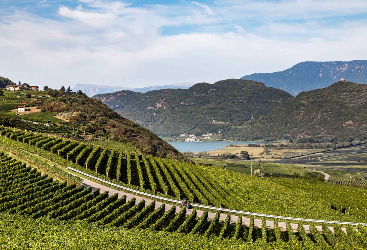 Tramin mit Blick auf Kalterer See