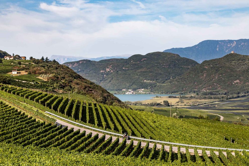 Tramin mit Blick auf Kalterer See