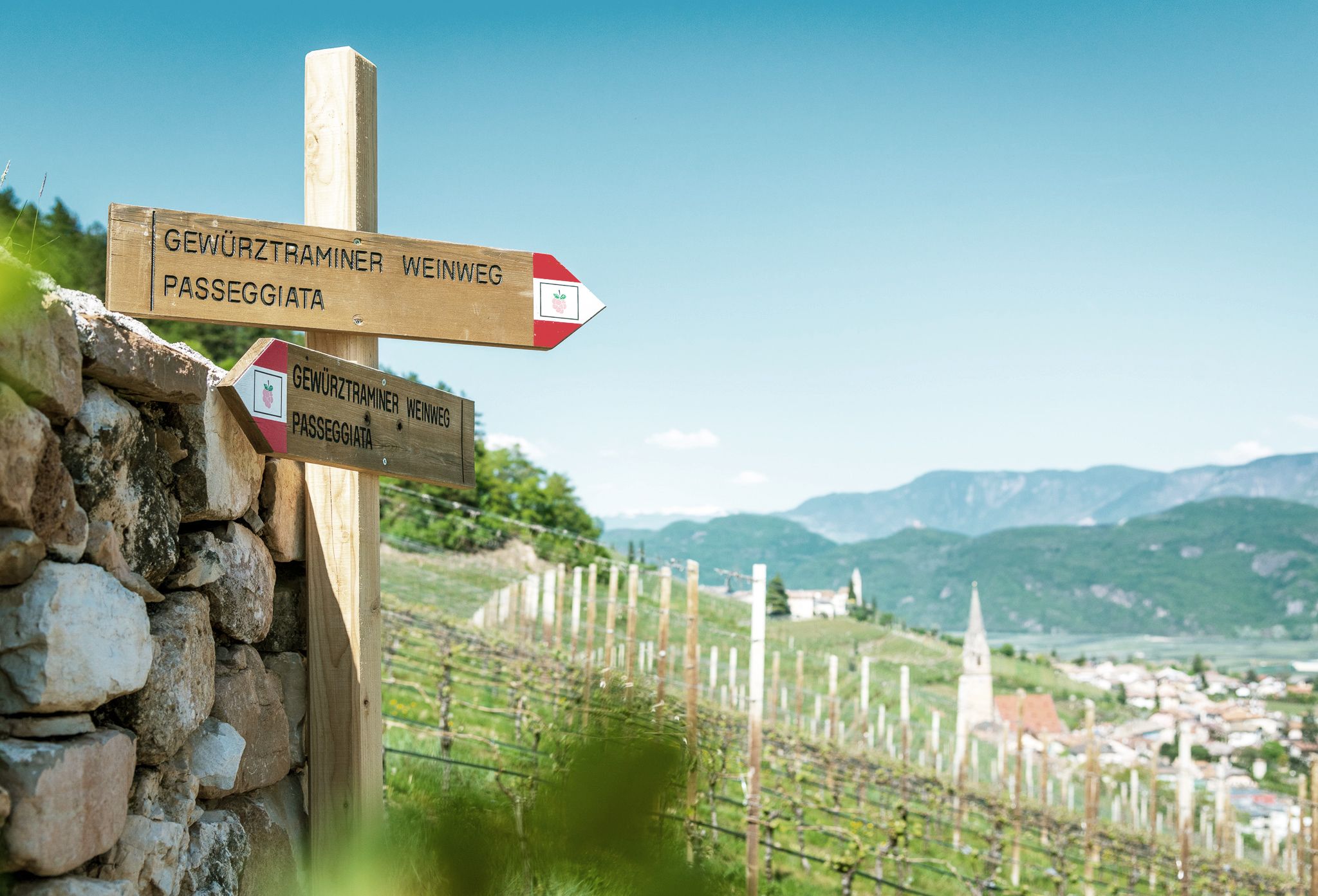 Gewürztraminer Weg | W1