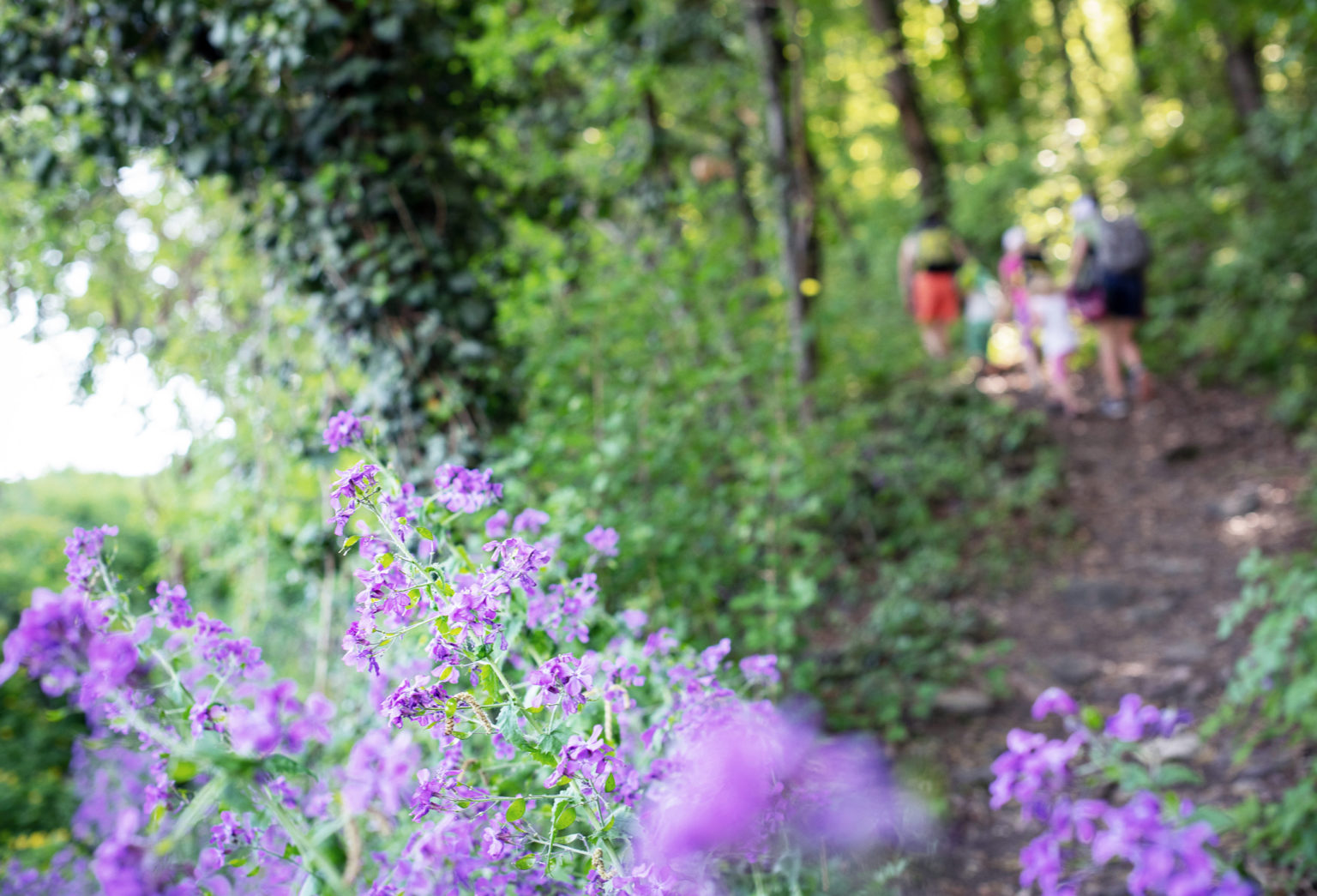 Nature Experience Trail W2 Traminerhof