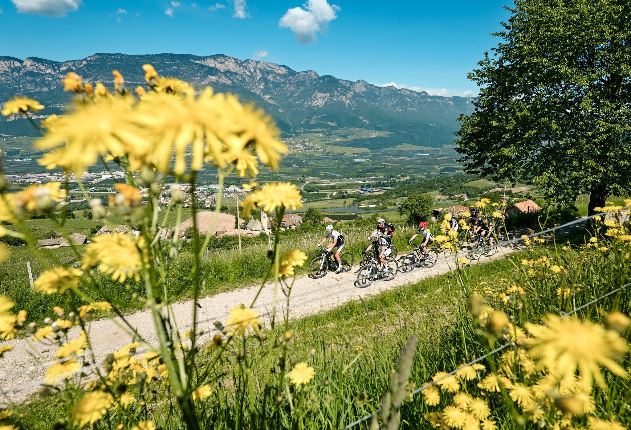 Monte Corno – strada forestale | 136