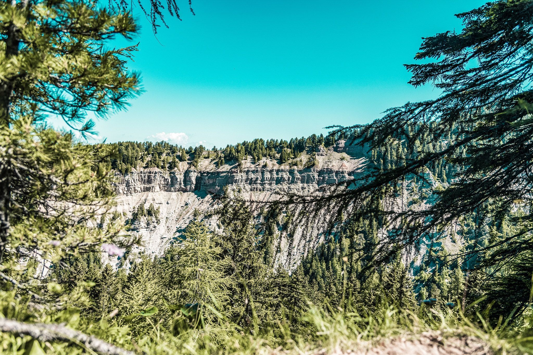 Bletterbachschlucht | W134