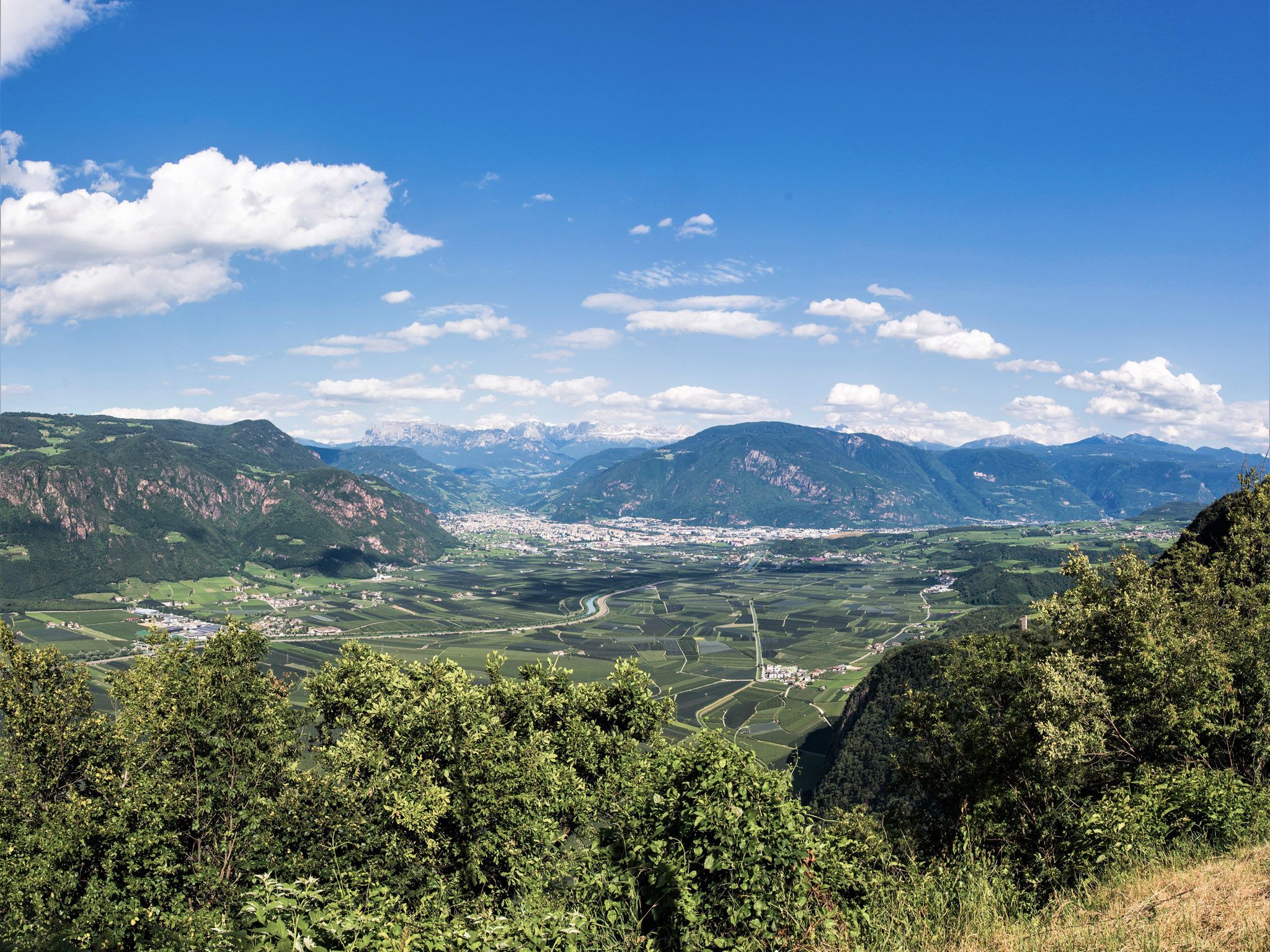 Alta via di Appiano | W124