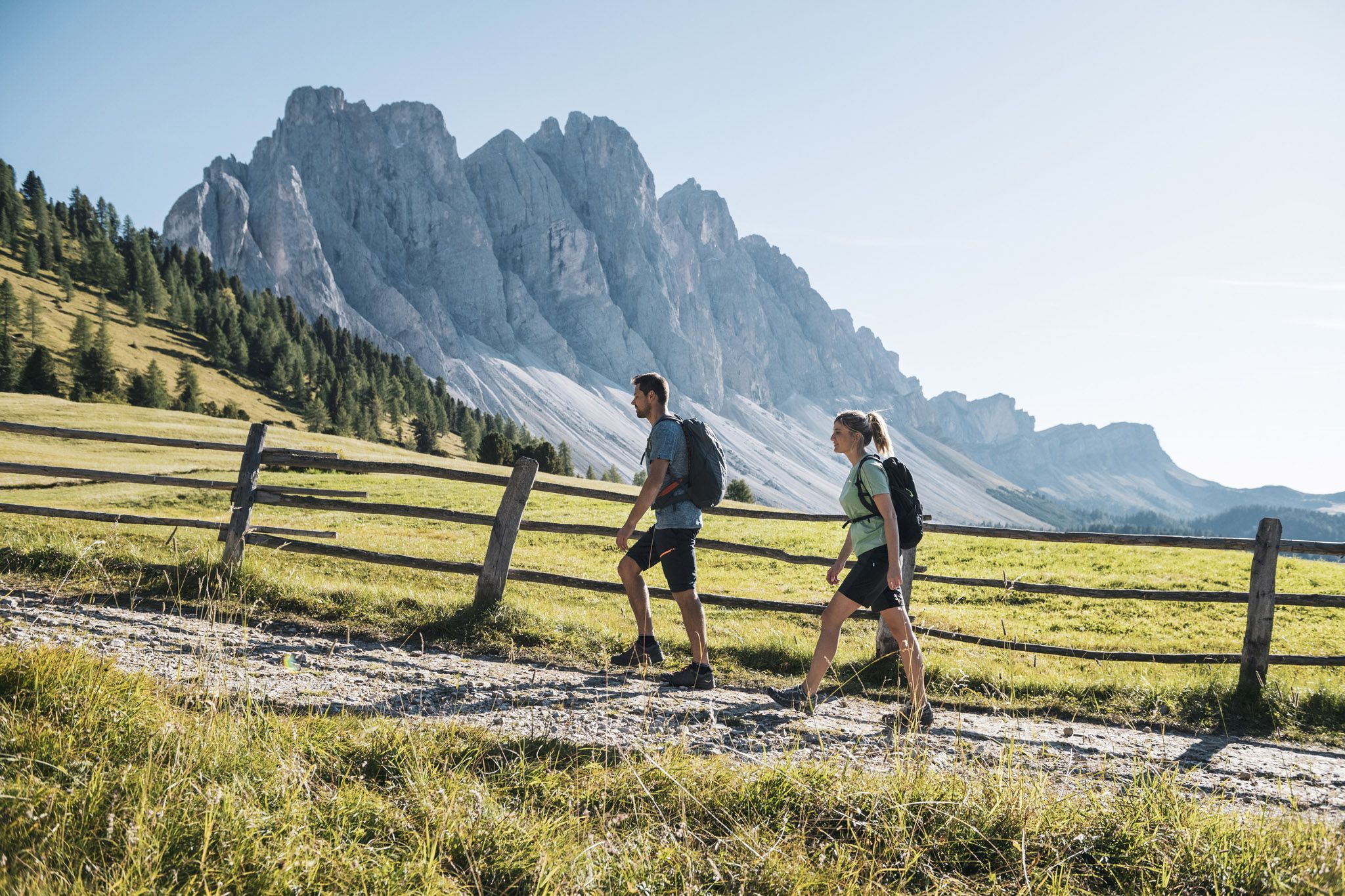 Geisler Alm | W312