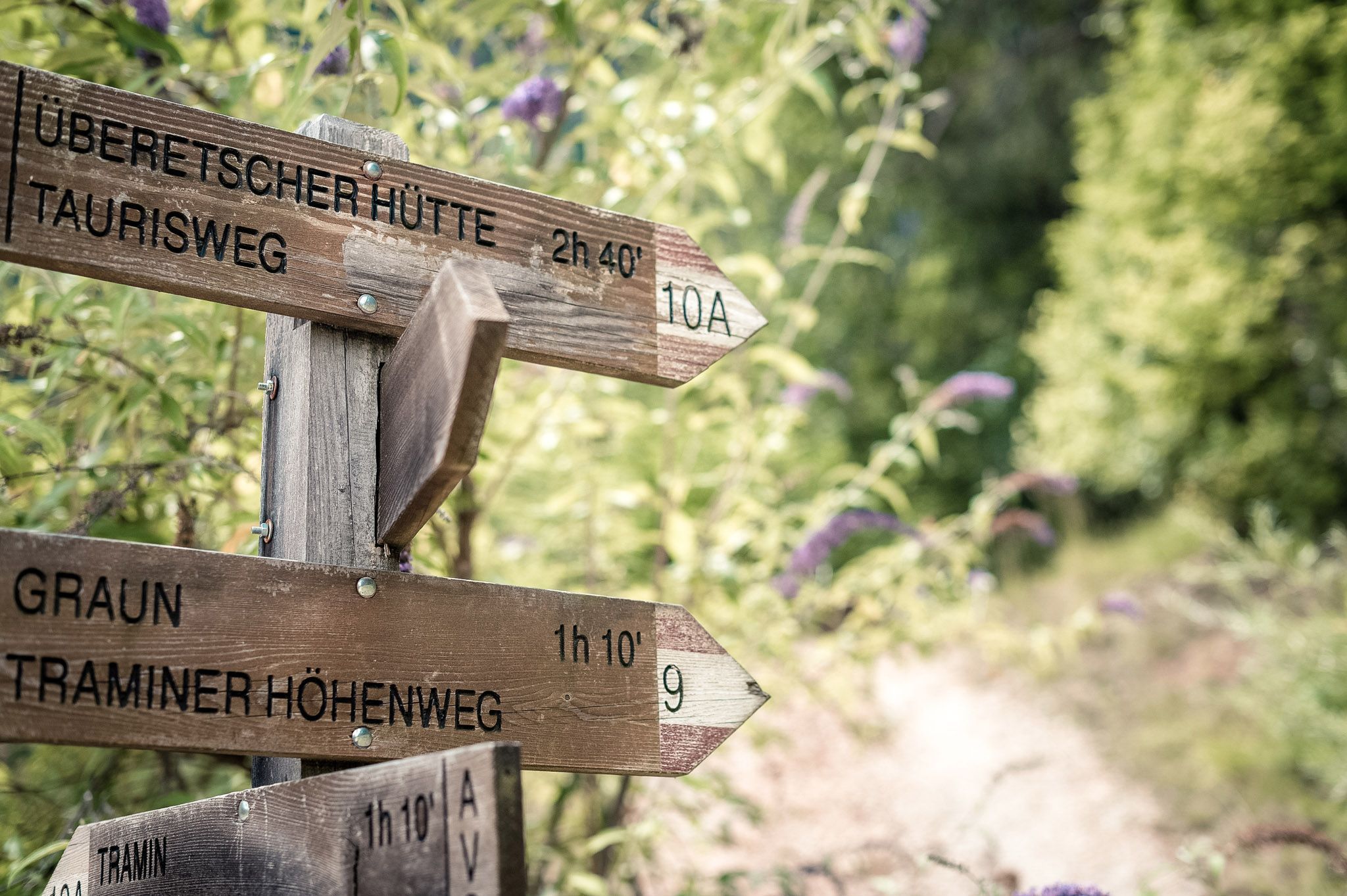 Zur Überetscher Hütte | W121