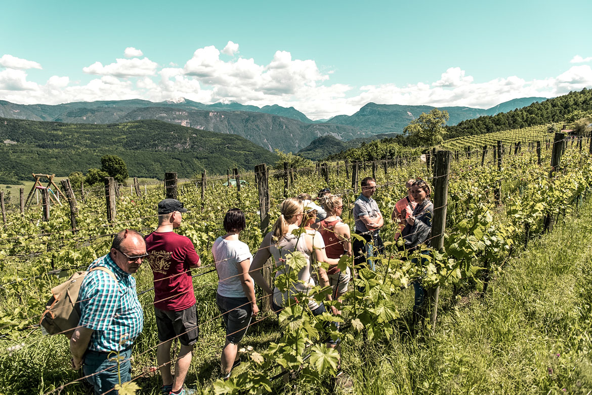 Genusswanderung Kaltern © TV Kaltern_Helmuth Rier