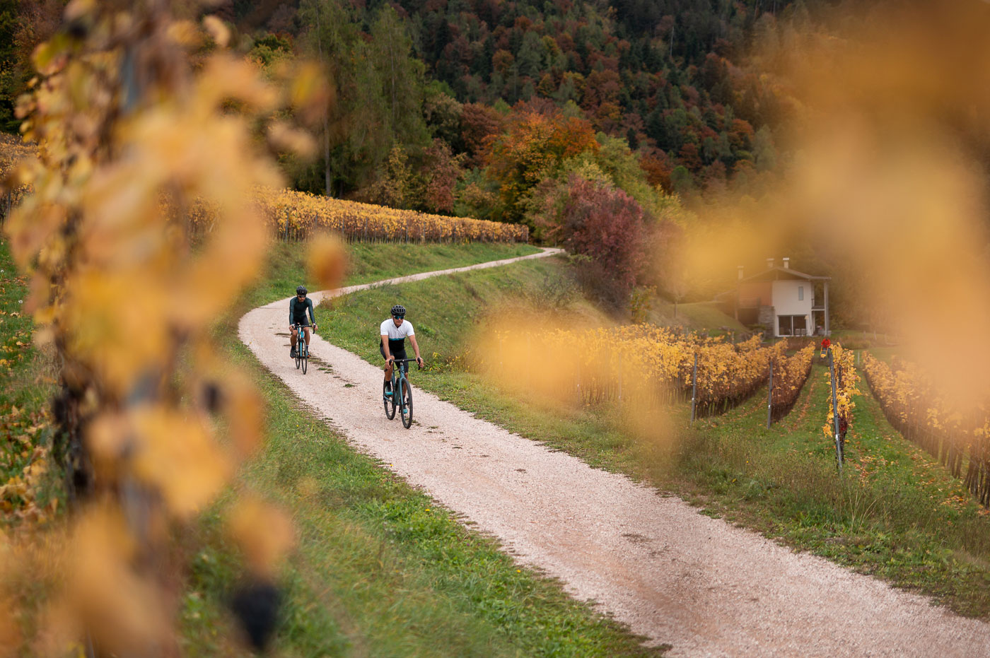 Giro della Bassa Atesina con Castelvetere | 403