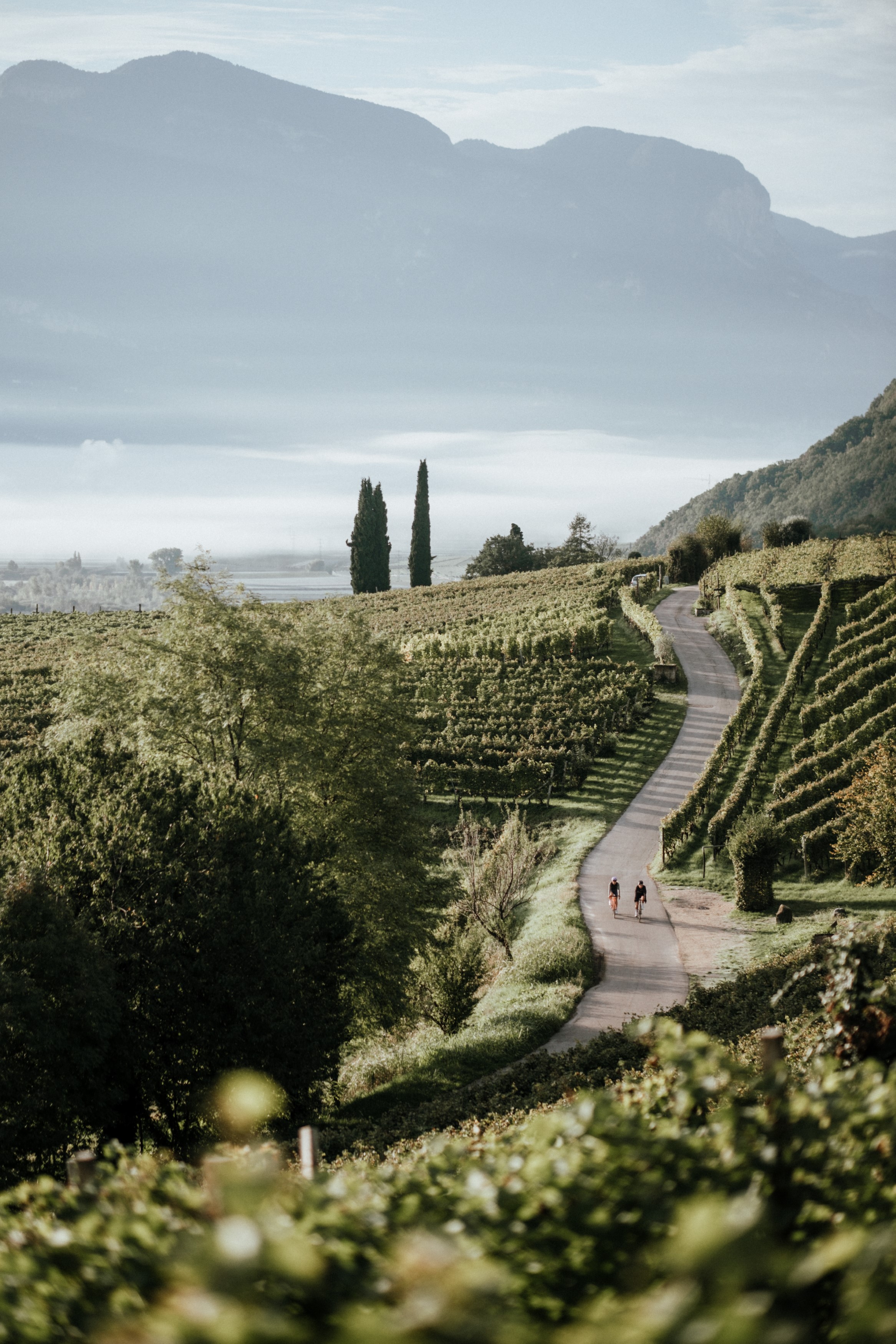 AUTUMN DAYS